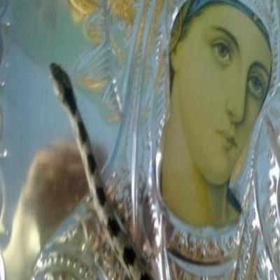 На півострові Кефалонія не появились «змійки Богородиці»